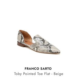 Toby Pointed Toe Flat (Women)
SARTO by Franco Sarto, worn once!